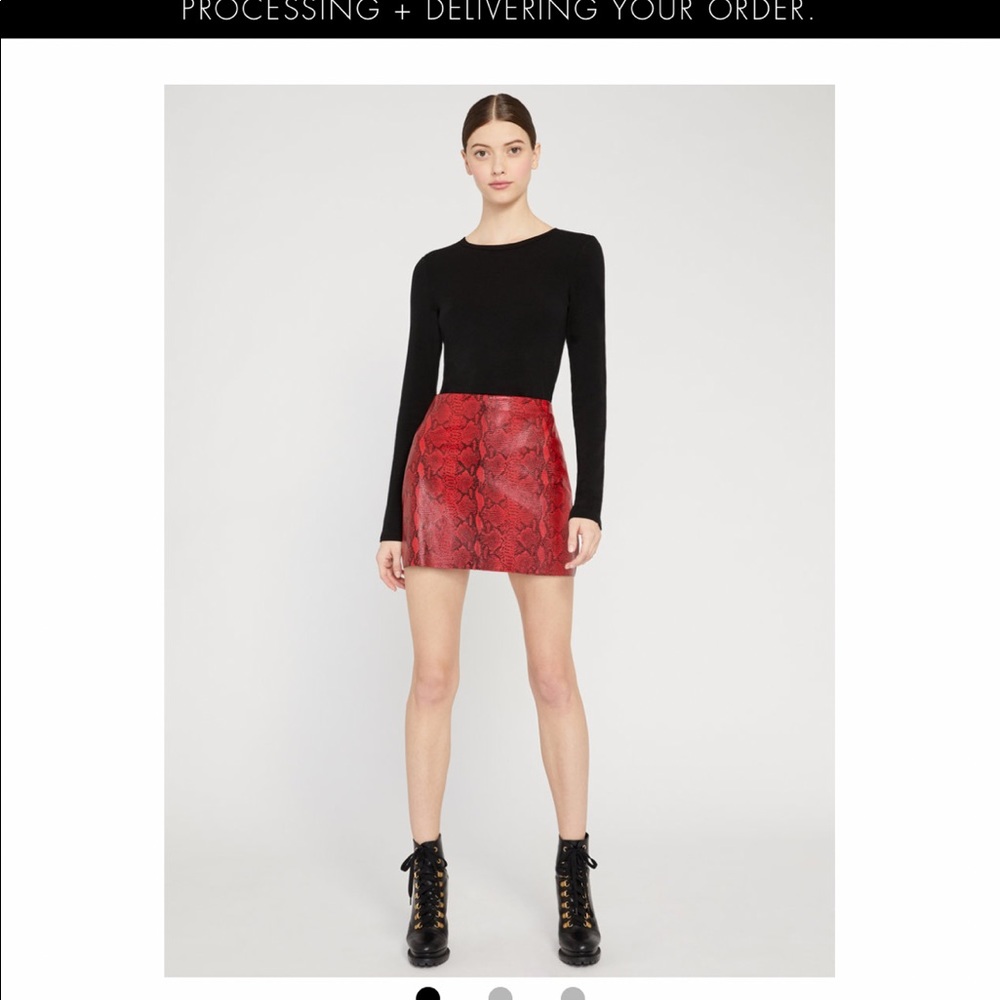 Alice & Olivia Skirt